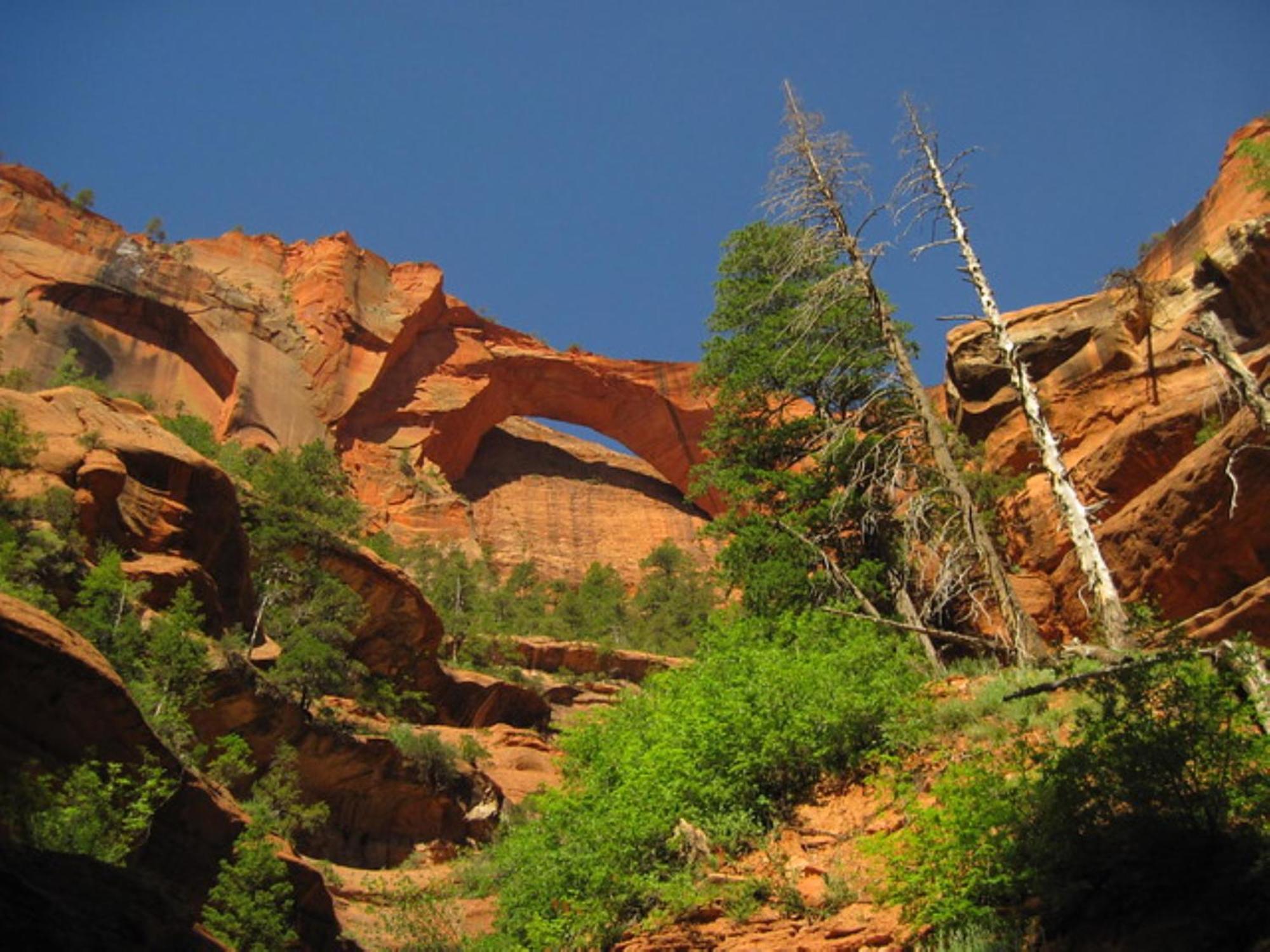 Holiday Inn La Verkin - Zion Park By Ihg Экстерьер фото